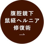 腹腔鏡下鼠経ヘルニア修復術